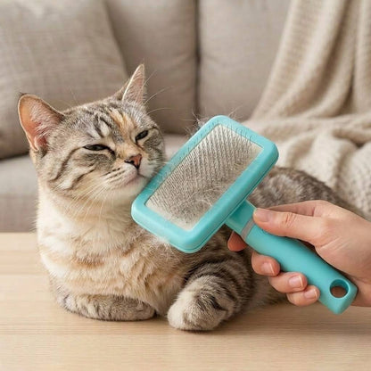 Professional Pet Grooming Brush