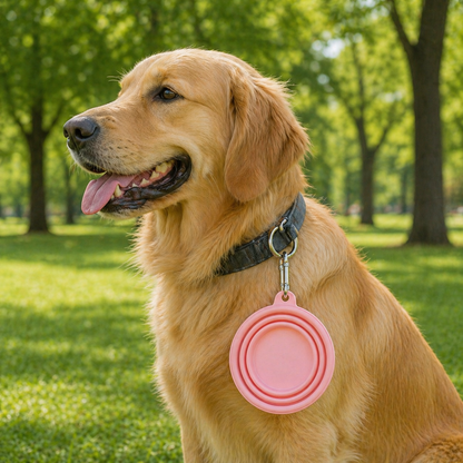 Collapsible Travel Pet Bowl